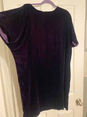 Lauren Ralph Lauren Deep Purple Velvet Dress